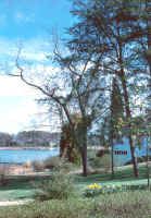 wrs25.jpg (121605 bytes)